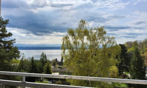 Appartement 3 pièces rénové - Vue sur le lac et les Alpes