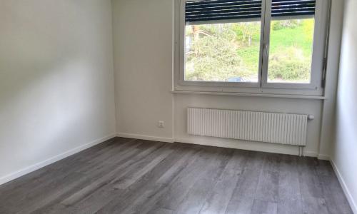 Appartement 3 pièces rénové - Vue sur le lac et les Alpes — photo 3