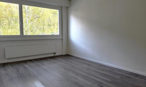 Appartement 3 pièces rénové - Vue sur le lac et les Alpes — photo 4