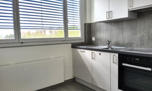 Appartement 3 pièces rénové - Vue sur le lac et les Alpes — photo 5