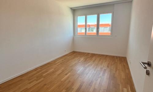     Magnifique appartement de 4,5 pièces au dernier étage à Chavannes-près-Renens  — photo 4