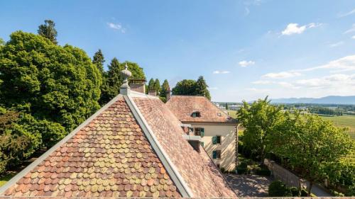Duplex de 7,5 pièces d'exception au sein du Château Barillet, Art de vivre entre vignes et Genève — photo 3