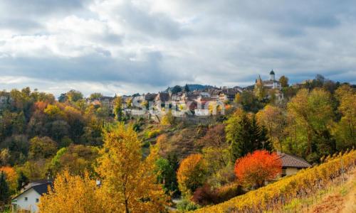 Spacieuse Maison Familiale, à proximité de Rolle