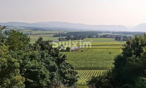 Propriété villageoise aux volumes insoupçonnés