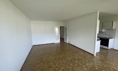 Quartier du Grand-Lancy, appartement lumineux de 4,5 pièces — photo 4