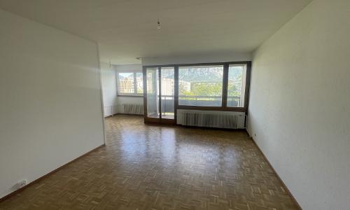 Quartier du Grand-Lancy, appartement lumineux de 4,5 pièces — photo 3