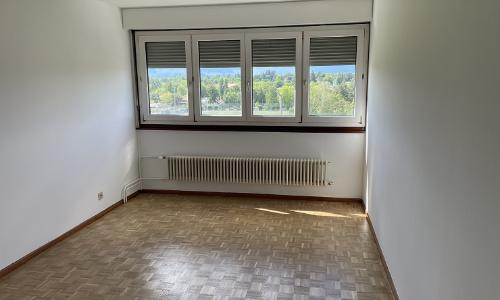 Quartier du Grand-Lancy, appartement lumineux de 4,5 pièces — photo 5