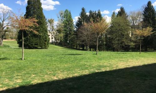 LOCATION AVEC CAUTION GRATUITE ! - 3.5 pièces proche de toutes commodités — photo 2