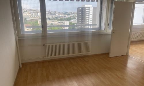 Centre de Malley! Renové ! Splendid vue! — photo 3